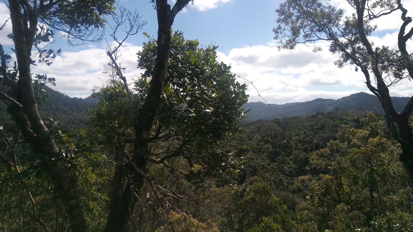 Im Ranomafana-Nationalpark