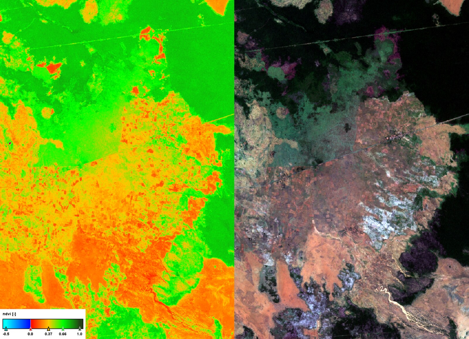 Sentinel-2-Satellitenaufnahme der Region — links NDVI, rechts RGB